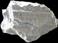 RomaFNervaTMinervaCorniceMensoleFrontone.jpg