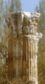 Colonna Tetrap afrodisia.jpg