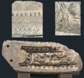 RomaPalatinoIppodromoFrArchPavonazzetto.jpg