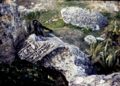 Turchia0273web.jpg