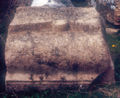 T3.b.11.03web.jpg