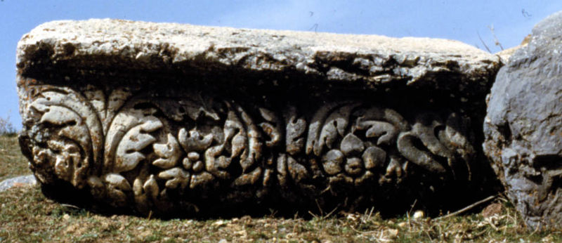 File:Fregio vegetale lap antiochia.jpg